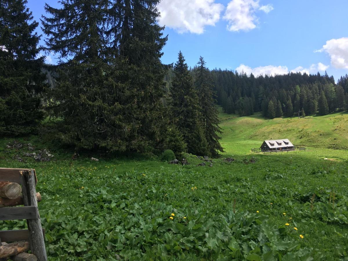 Wengerwirt Zur Laube Bed & Breakfast Weng im Gesause Екстериор снимка