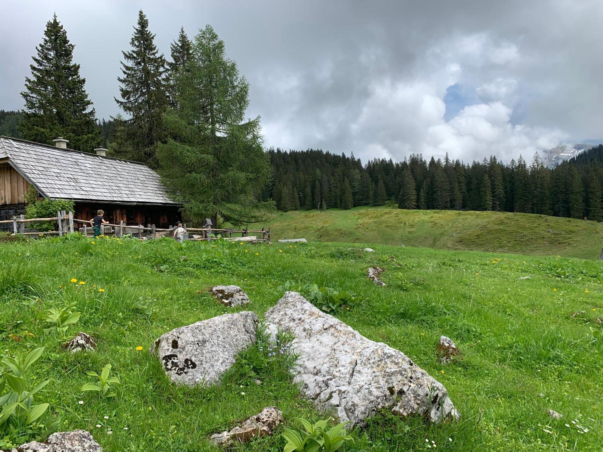 Wengerwirt Zur Laube Bed & Breakfast Weng im Gesause Екстериор снимка